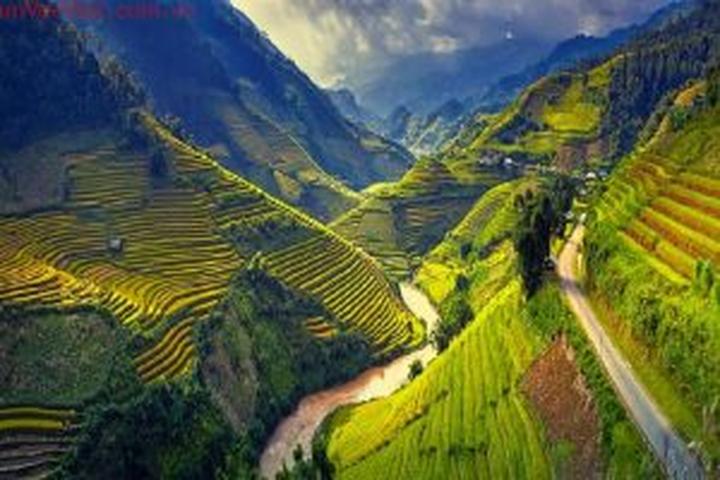 3 kiểu giày