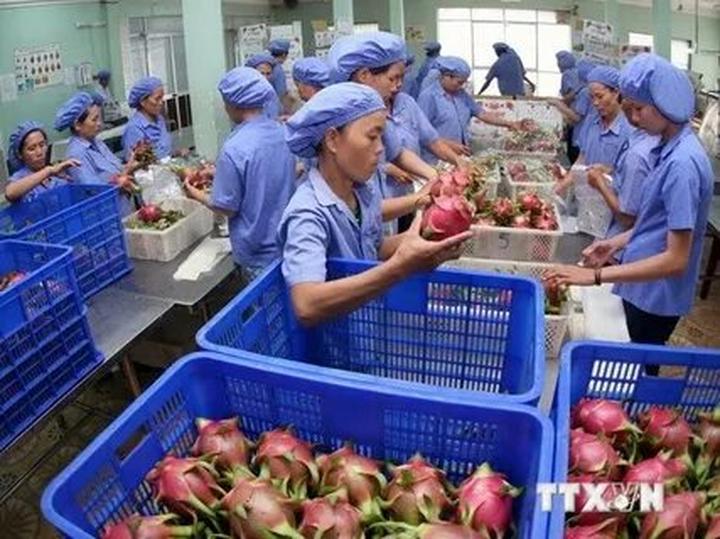 Xu hướng Các nhà khoa học phân tích: Hotspot Matrix tiết lộ bí quyết video viral