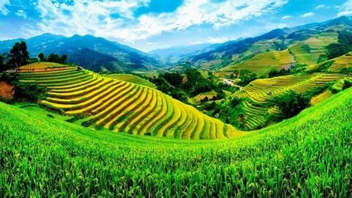 Hotspot Matrix: Biến Cửa hàng đóng cửa, hàng hóa thành cơ hội marketing đột phá